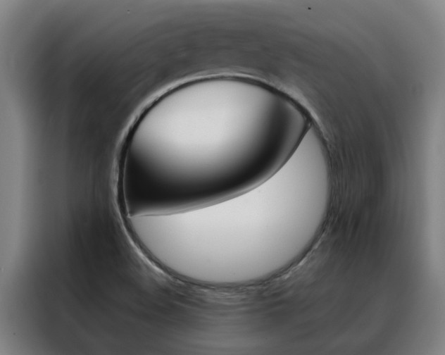 X0000088441508200705220904