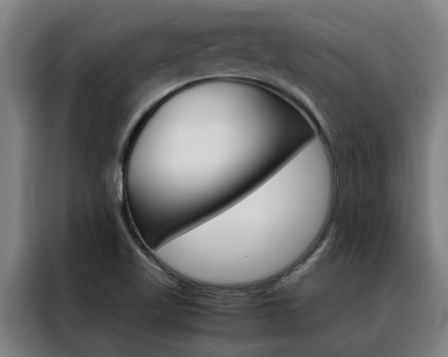 X0000088441509200705220904