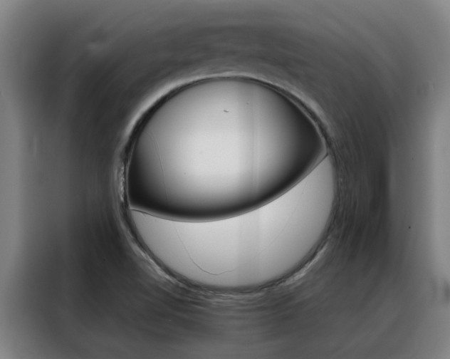 X0000088441510200705220904