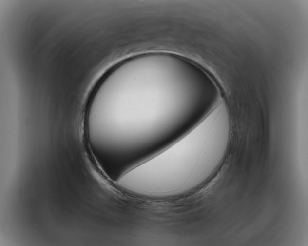X0000088441511200705220904