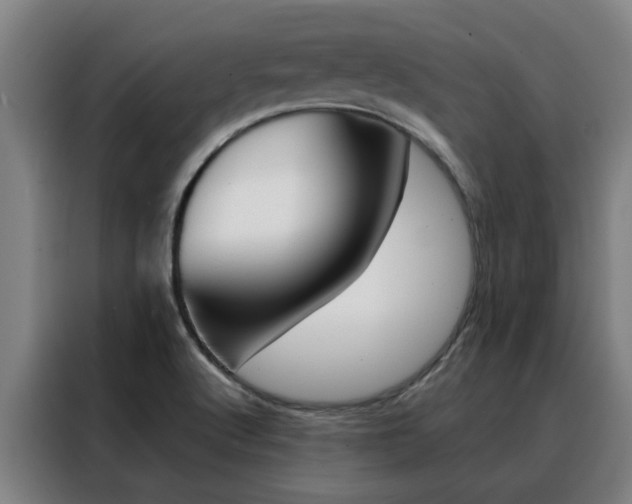 X0000088441512200705220904