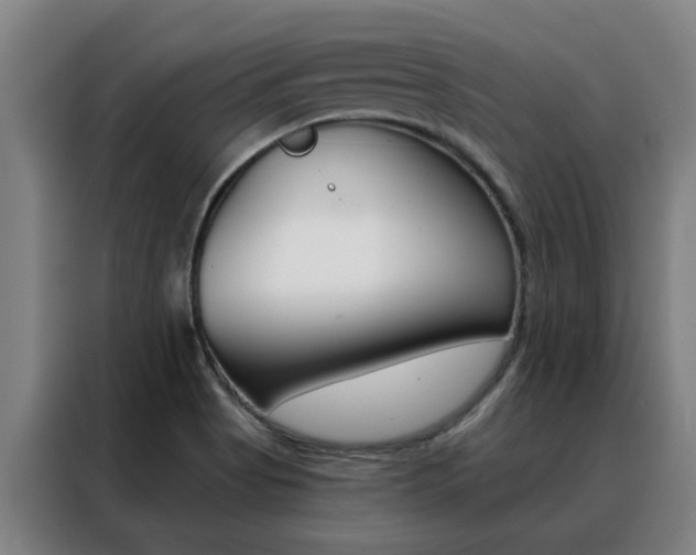X0000088441513200705220904