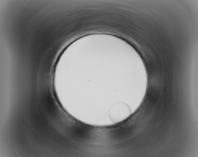 X0000088441514200705220904