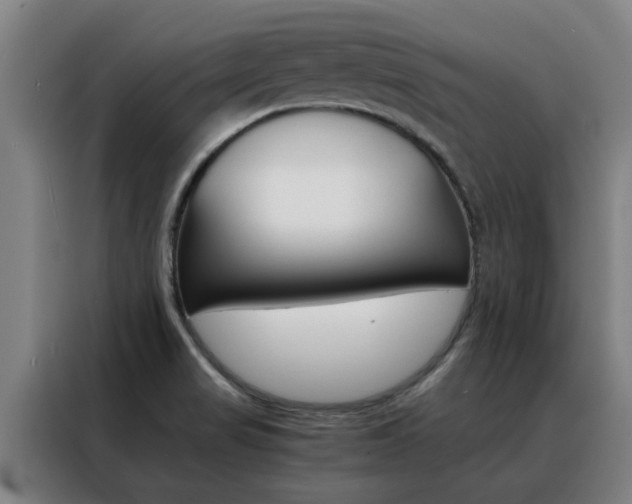 X0000088441517200705220904