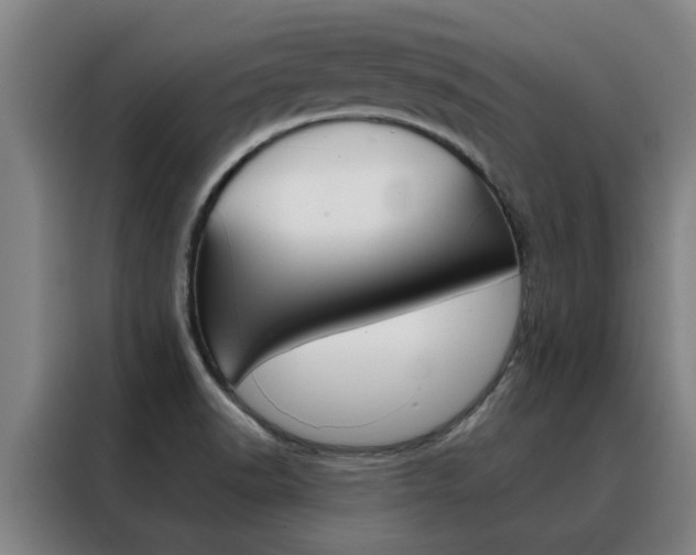 X0000088441518200705220904