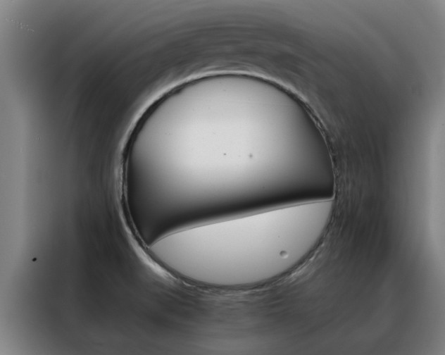 X0000088441519200705220904