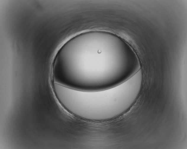 X0000088441520200705220904