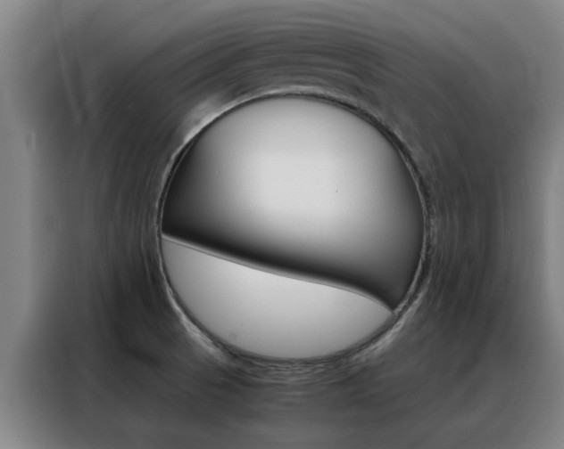 X0000088441521200705220904