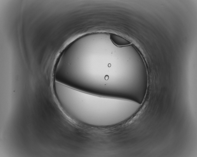 X0000088441525200705220904
