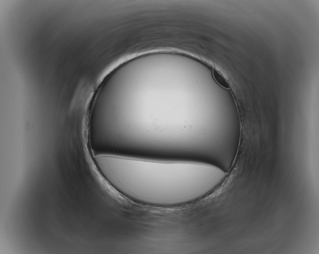 X0000088441526200705220904