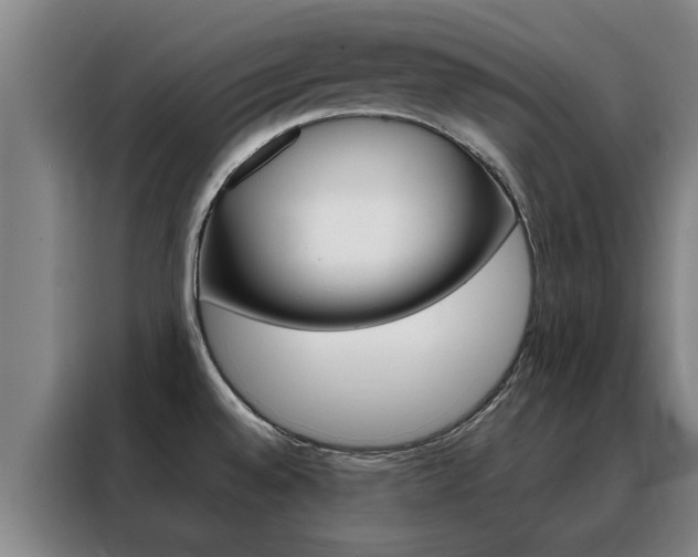 X0000088441528200705220904