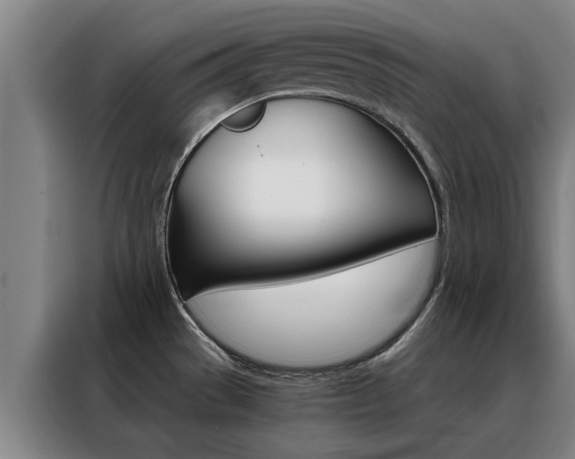X0000088441529200705220904