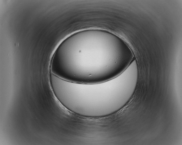 X0000088441532200705220904