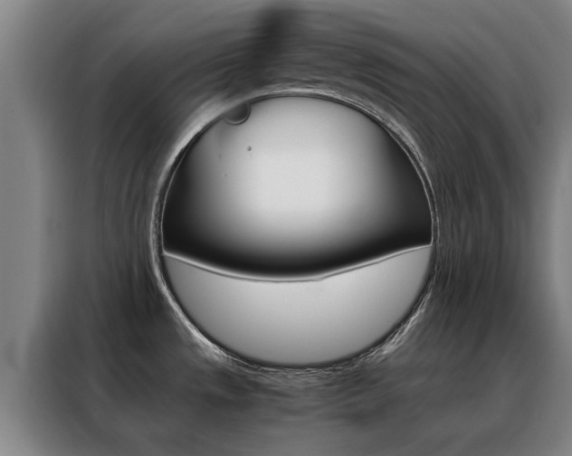 X0000088441533200705220904