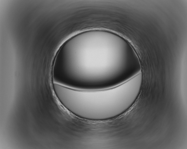X0000088441534200705220904