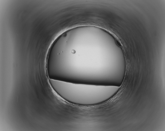 X0000088441535200705220904