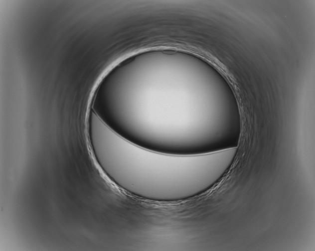 X0000088441536200705220904