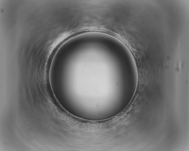 X0000088440008200705221324