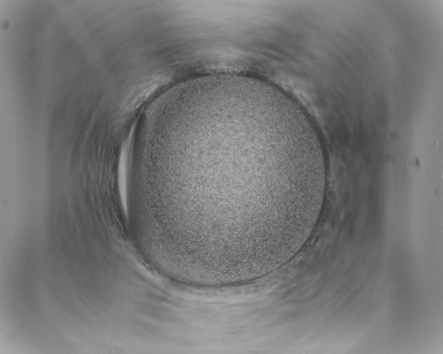 X0000088440017200705221324