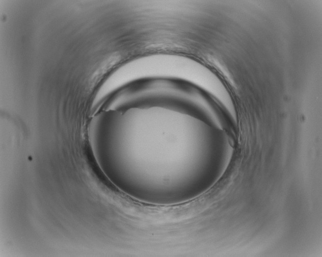 X0000088440023200705221324
