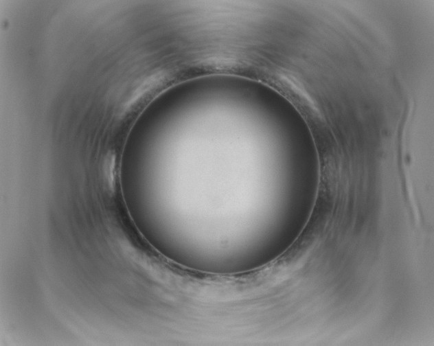 X0000088440024200705221324