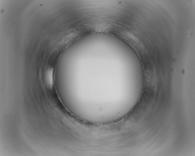 X0000088440028200705221324