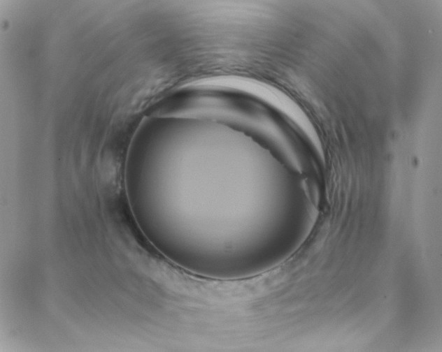 X0000088440031200705221323