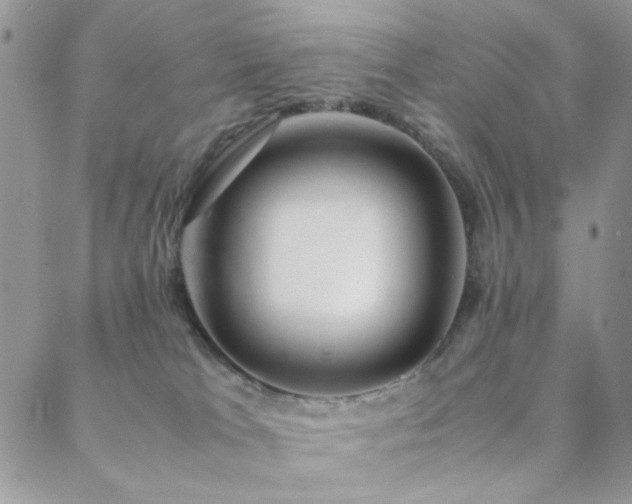 X0000088440037200705221323