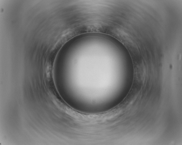 X0000088440038200705221323