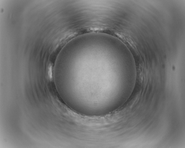X0000088440042200705221323