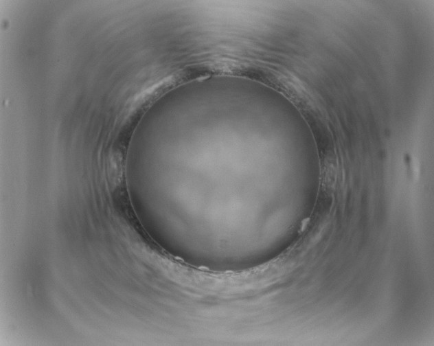 X0000088440043200705221323