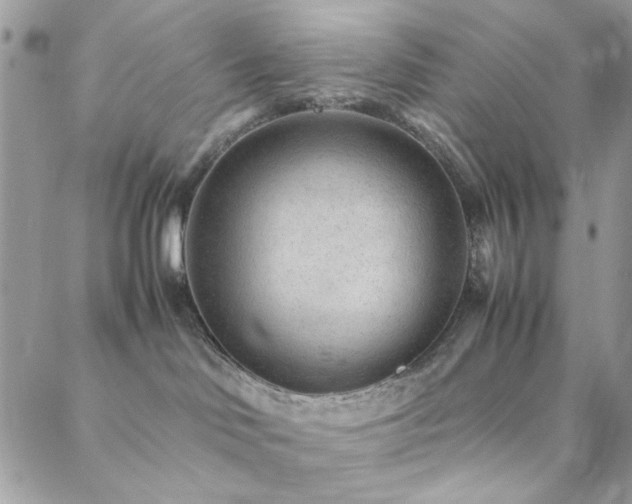 X0000088440046200705221323