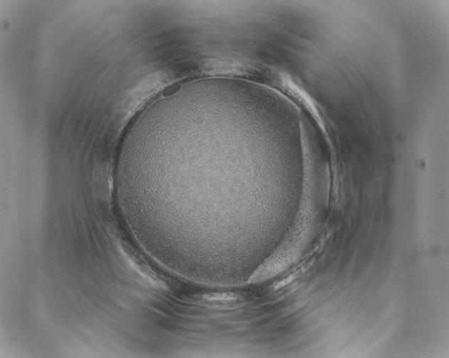 X0000088440059200705221323