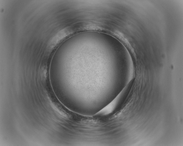 X0000088440063200705221323