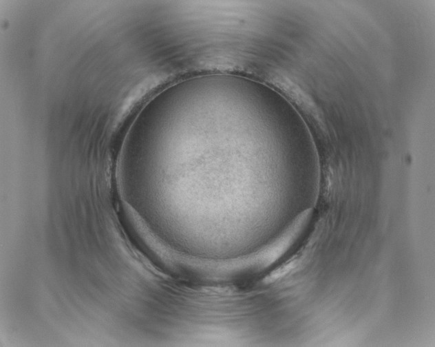 X0000088440064200705221323