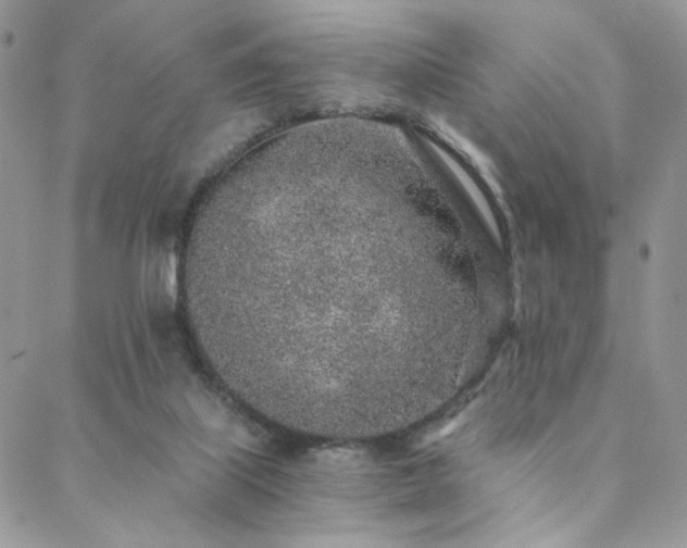 X0000088440067200705221323