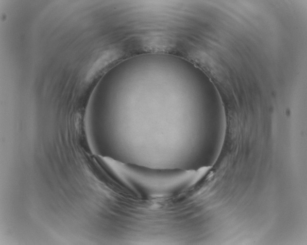 X0000088440071200705221323
