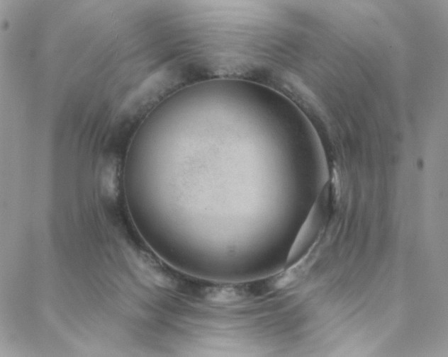 X0000088440074200705221323