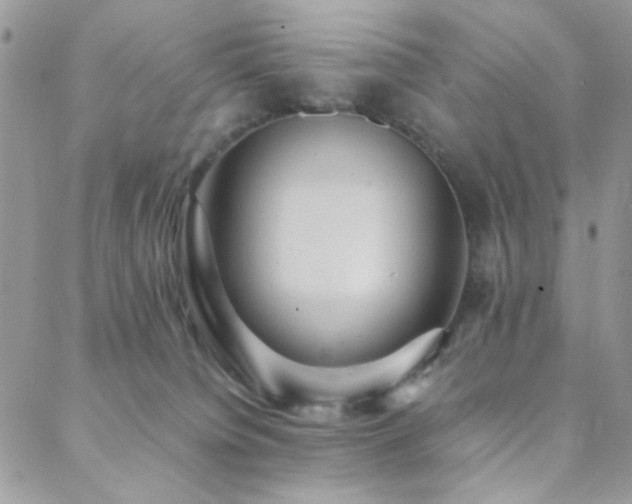 X0000088440084200705221323