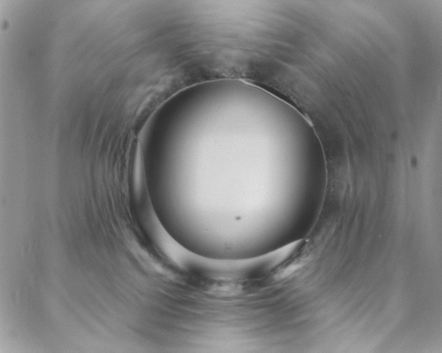 X0000088440088200705221323