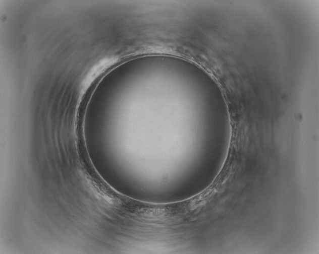 X0000088440104200705221322