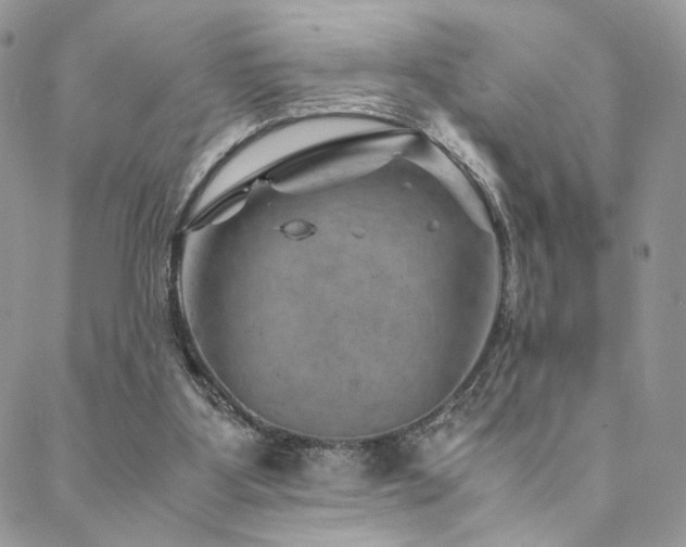 X0000088440107200705221322