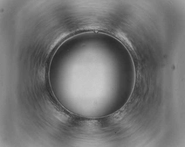 X0000088440108200705221322