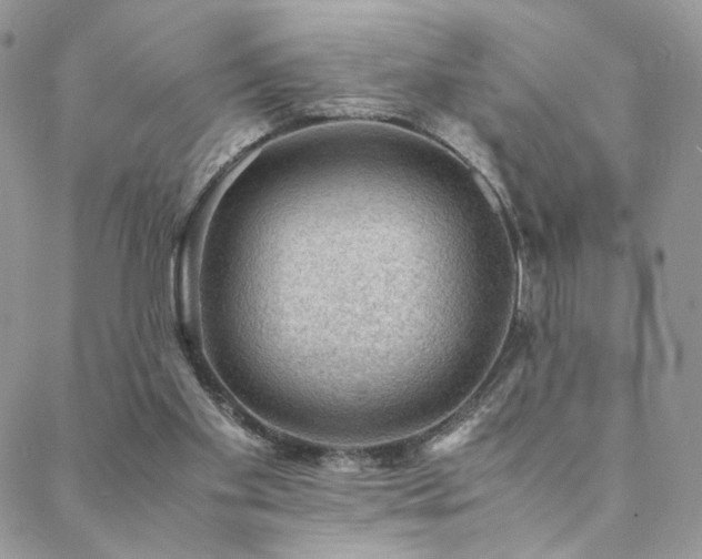 X0000088440109200705221322