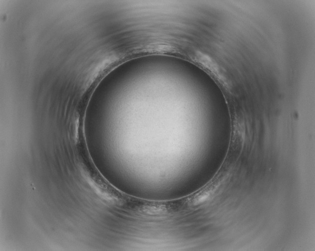 X0000088440110200705221322