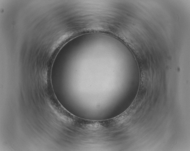 X0000088440112200705221322