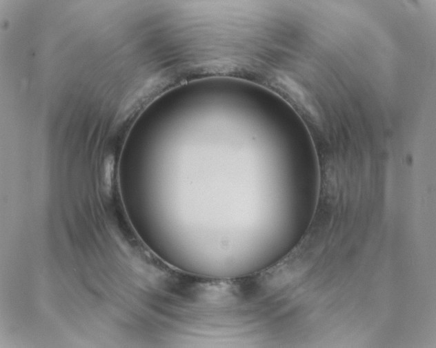 X0000088440118200705221322