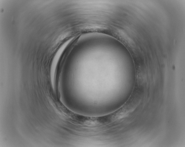 X0000088440119200705221322