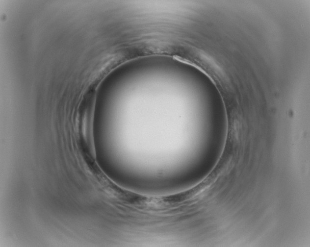 X0000088440121200705221322