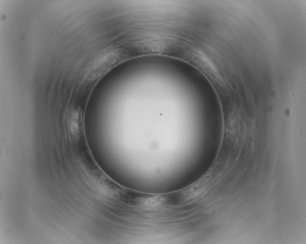 X0000088440122200705221322